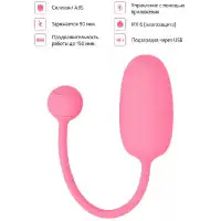 MAGIC MOTION Смарт-тренажер Кегеля Magic Motion Kegel Coach — купить в Минске Фото MAGIC MOTION Смарт-тренажер Кегеля Magic Motion Kegel Coach