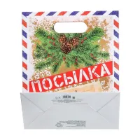 Фото  Подарочный пакет Посылка от Деда Мороза ML