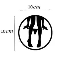 Изображение  Виниловая наклейка на авто черная