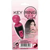 Orion, Германия Вибратор-брелок Key Ring Vibe — купить в Минске Изображение Orion, Германия Вибратор-брелок Key Ring Vibe