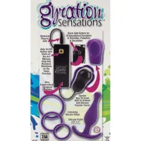 Фото California Exotic Novelties, США Секс-набор для двоих Gyrating Passion Kit