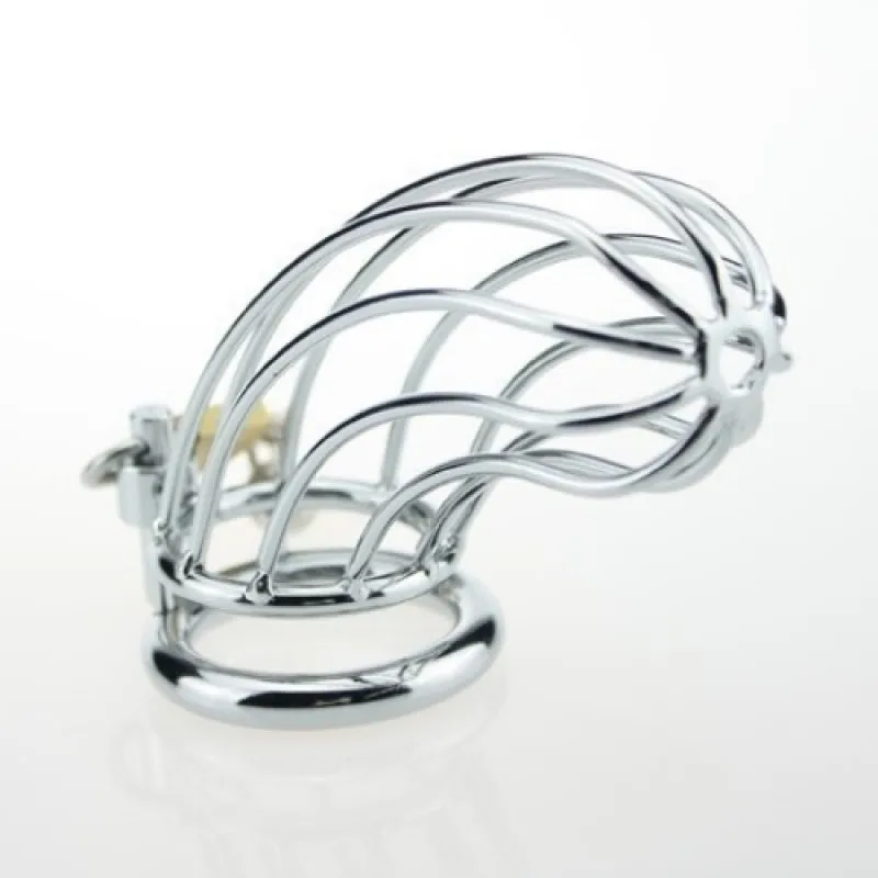 Изображение HSY, Китай Мужской пояс верности с анальным шаром