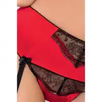 Фото Passion, Польша Красный комплект Brida Set S/M