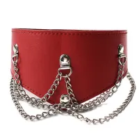 Фото HSY, Китай Красный ошейник с цепочками