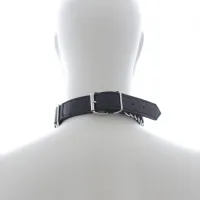 Изображение HSY, Китай Рифленый ошейник с кольцом