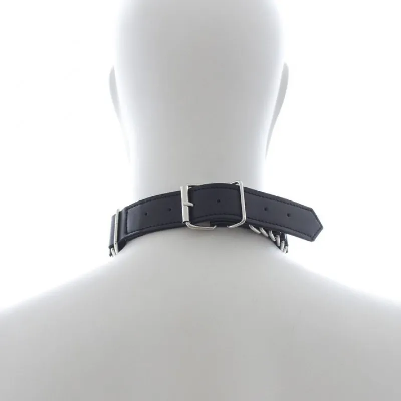 Изображение HSY, Китай Рифленый ошейник с кольцом