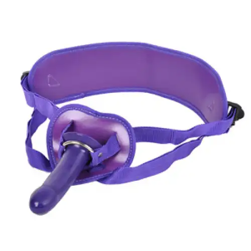 Изображение Lovetoy, Китай Страпон для начинающих Fetish Rider G-Spot Strap On фиолетовый