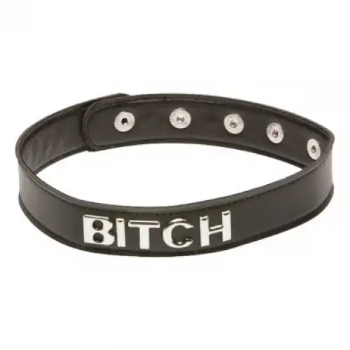 Изображение  Ошейник X-Play Bitch Collar