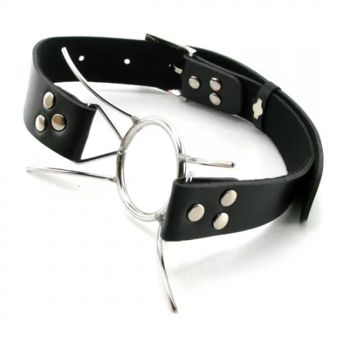 Фото PipeDream, США Кольцо-расширитель FF Extreme Spider Gag