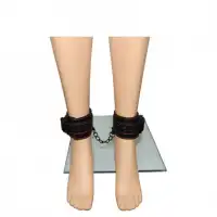 Фото Lovetoy, Китай Поножи Pleasure Ankle cuffs