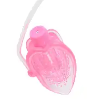 Фото PipeDream, США Вакуумная помпа вагинальная с вибрацией FF Vibrating Mini Pussy Pump