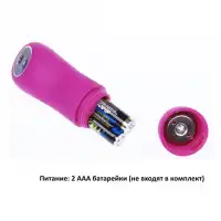Изображение We-Vibe, Канада Вибромассажер Pleasure Дельфинчик (We-Vibe 3)