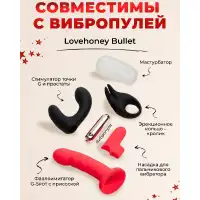 Изображение  Эротический адвент-календарь Lovehoney Couples Advent Calendar Womanizer & We-Vibe 2024