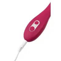 TOYFA Basic Многофункциональный парный вибратор с дистанционным управлением Leroina Caberna — купить в Минске Изображение TOYFA Basic Многофункциональный парный вибратор с дистанционным управлением Leroina Caberna