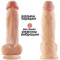 Фото Lovetoy, Китай Реалистичный телесный вибратор на присоске NeoSkin 21 см