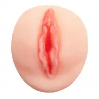 Изображение TOYFA Basic Мастурбатор самолубрицирующийся Juicy Pussy by Toyfa Wet Kat