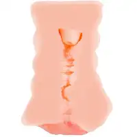 Изображение TOYFA Basic Мастурбатор самолубрицирующийся Juicy Pussy by Toyfa Wet Kat