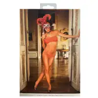 Изображение Baci Lingerie, Тайвань Красный сетчатый комплект белья Spanish OS