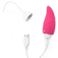 Фото Lovetoy, Китай Виброяйцо с пультом дистанционного управления Ijoy Wireless Remote Control Rechargeable Egg