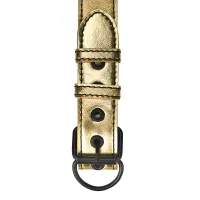 Lovetoy, Китай Ошейник с поводком на цепи Bondage Fetish золотистый — купить в Минске Изображение Lovetoy, Китай Ошейник с поводком на цепи Bondage Fetish золотистый