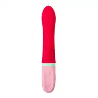 Flovetta by toyfa, Китай Вибратор с клиторальным стимулятором Flovetta PETUNIA, силикон, красный, 19 см — купить в Минске Фото Flovetta by toyfa, Китай Вибратор с клиторальным стимулятором Flovetta PETUNIA, силикон, красный, 19 см