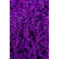 Изображение Shunga, Канада Соль мёртвого моря для ванны Shunga Oriental Crystals Экзотические фрукты 500гр