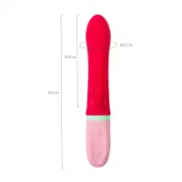 Flovetta by toyfa, Китай Вибратор с клиторальным стимулятором Flovetta PETUNIA, силикон, красный, 19 см — купить в Минске Фото Flovetta by toyfa, Китай Вибратор с клиторальным стимулятором Flovetta PETUNIA, силикон, красный, 19 см