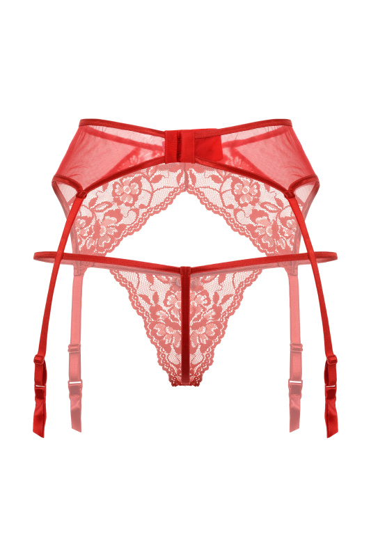 Изображение SoftLine Collection, Польша Пояс для чулок и стринги кружевные SoftLine Collection, красный, M/L