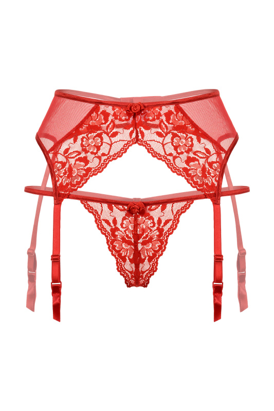 Изображение SoftLine Collection, Польша Пояс для чулок и стринги кружевные SoftLine Collection, красный, M/L