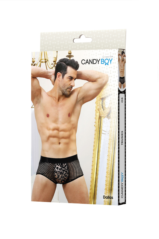 Изображение Candy Boy, Гонконг Боксеры Candy Boy Dallas, черные, OS