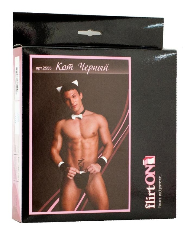 Изображение  Костюм мужской Кот Flirton, черно-белый (46-48)