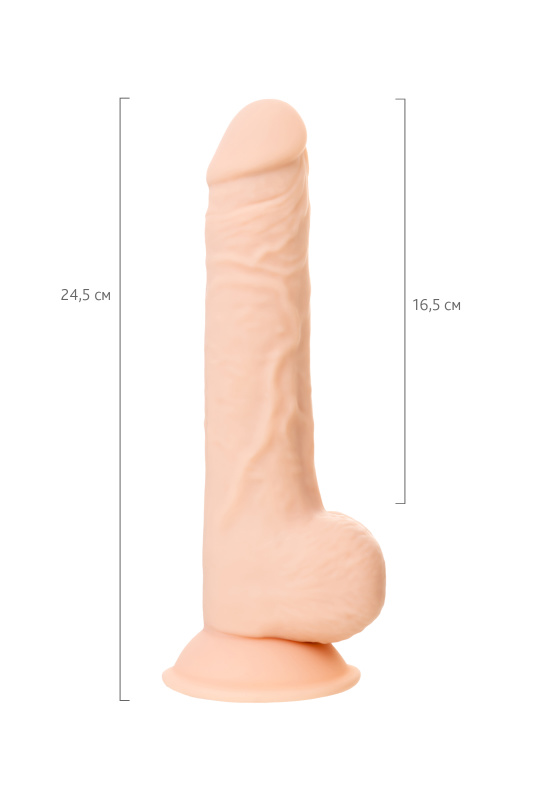 Изображение  Фаллоимитатор RS Silicone Matthew M, сайлекспан , телесный, 24,5 см