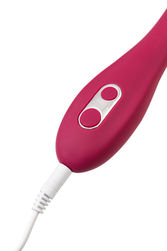 TOYFA Basic Многофункциональный парный вибратор с дистанционным управлением Leroina Caberna — купить в Минске Изображение TOYFA Basic Многофункциональный парный вибратор с дистанционным управлением Leroina Caberna