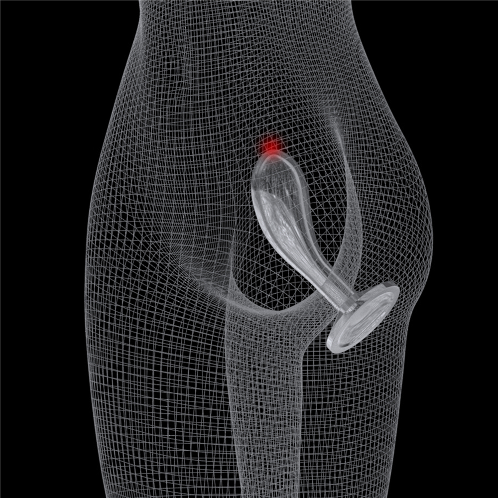 Фото Lovetoy, Китай Прозрачный стимулятор простаты Lovetoy Flawless Clear Prostate Plug 15 см