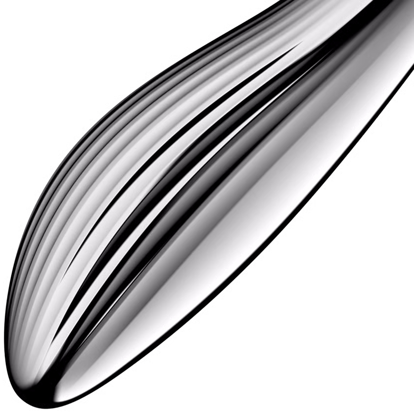 Satisfyer, Германия Двусторонний стальной стимулятор Satisfyer Pure Gravity 1 — купить в Минске Фото Satisfyer, Германия Двусторонний стальной стимулятор Satisfyer Pure Gravity 1